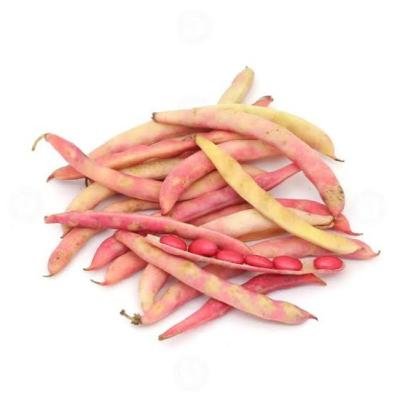 Soya beans-சோயா பீன்ஸ்